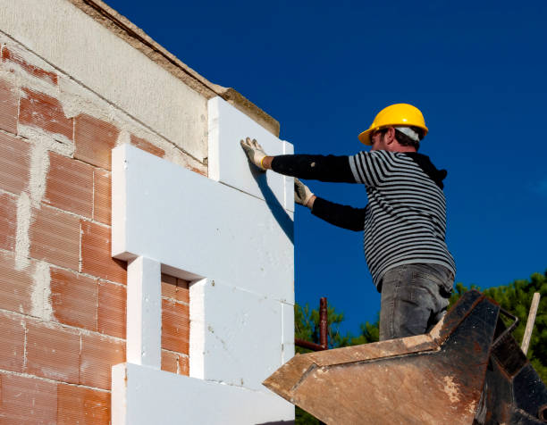 Best Insulation Maintenance and Repair in Wayne City, IL