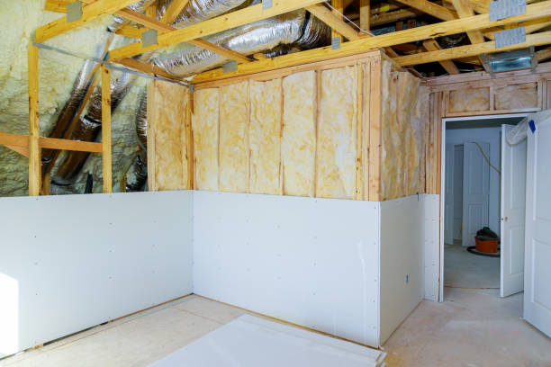 Best Insulation Maintenance and Repair in Wayne City, IL