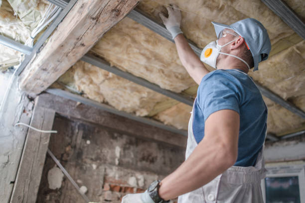 Best Types of Insulation in Wayne City, IL